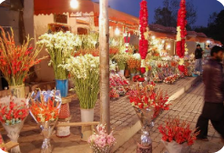 Islamabad Flower Shop: Where Every Bouquet Tells a Story