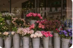 Flower Shop Near Me: A Local Guide to Finding the Perfect Bloom
