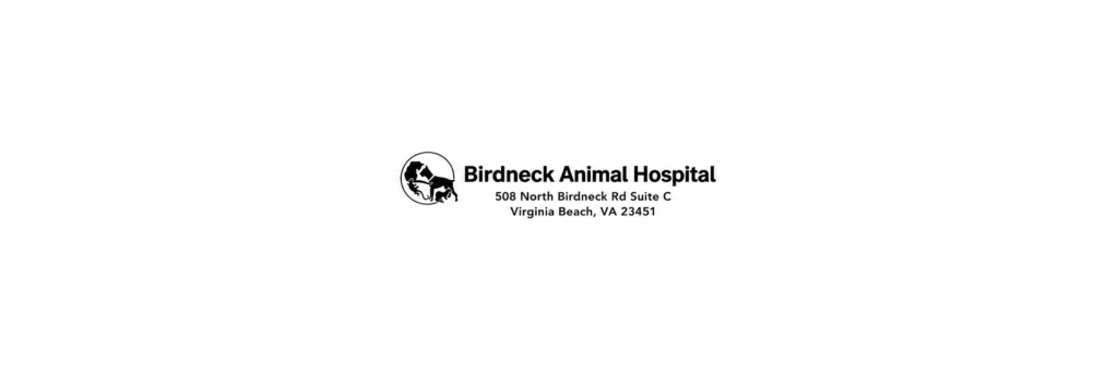Birdneck Animal Hospital photo 1