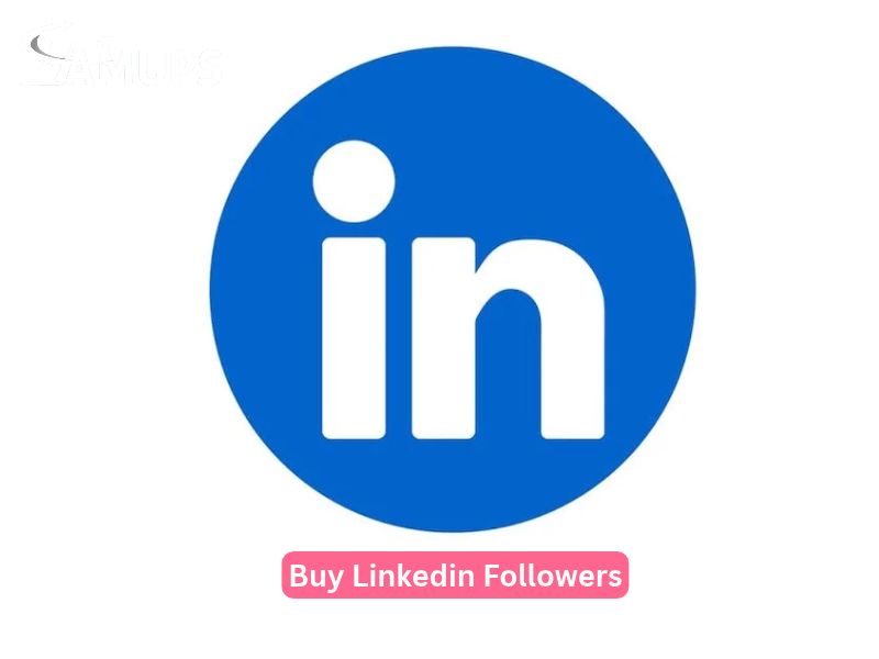 Important Factors to Know Before You Buy LinkedIn Followers