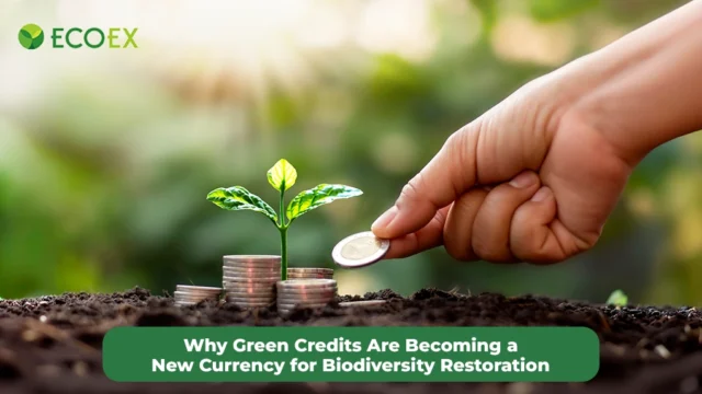 Why Green Credits Are Becoming a New Currency for Biodiversity Restoration