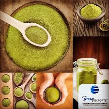 Choosing Reliable Moringa Powder Suppliers in India for Global Business Needs