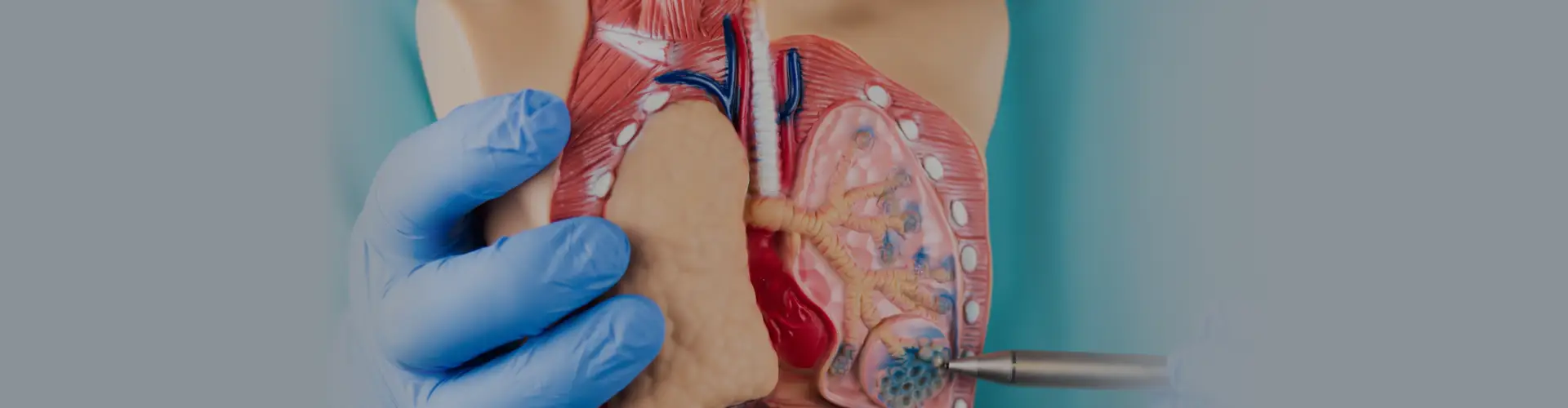 Fiberoptic Bronchoscopy in Guwahati: A Complete Medical Guide