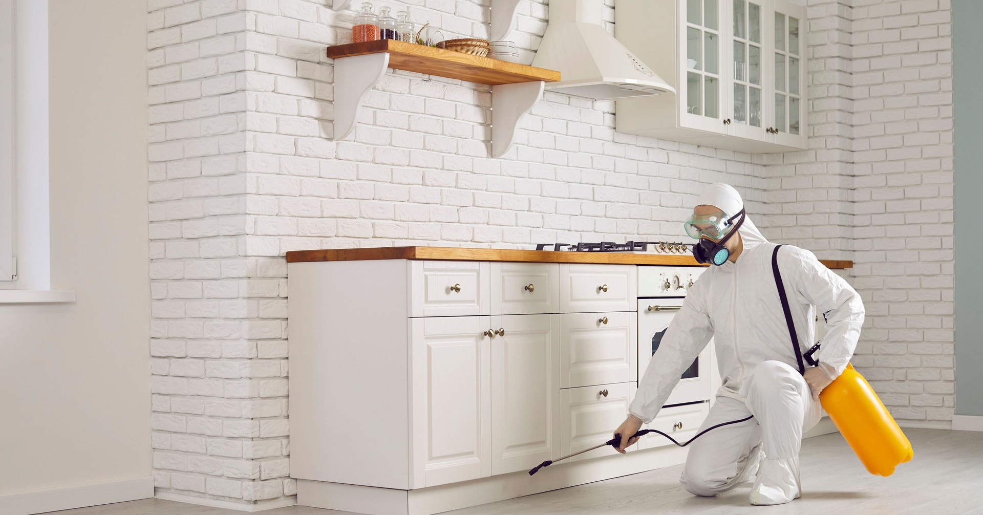 Essential Steps for Managing Ant Problems at Home